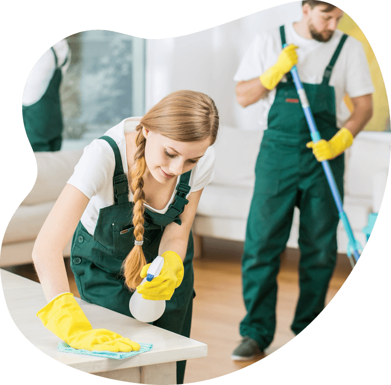 cleaning1
