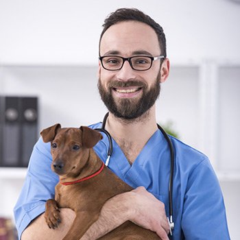 home_veterinary_team_1